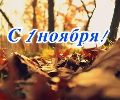 Начало ноября картинки с надписями