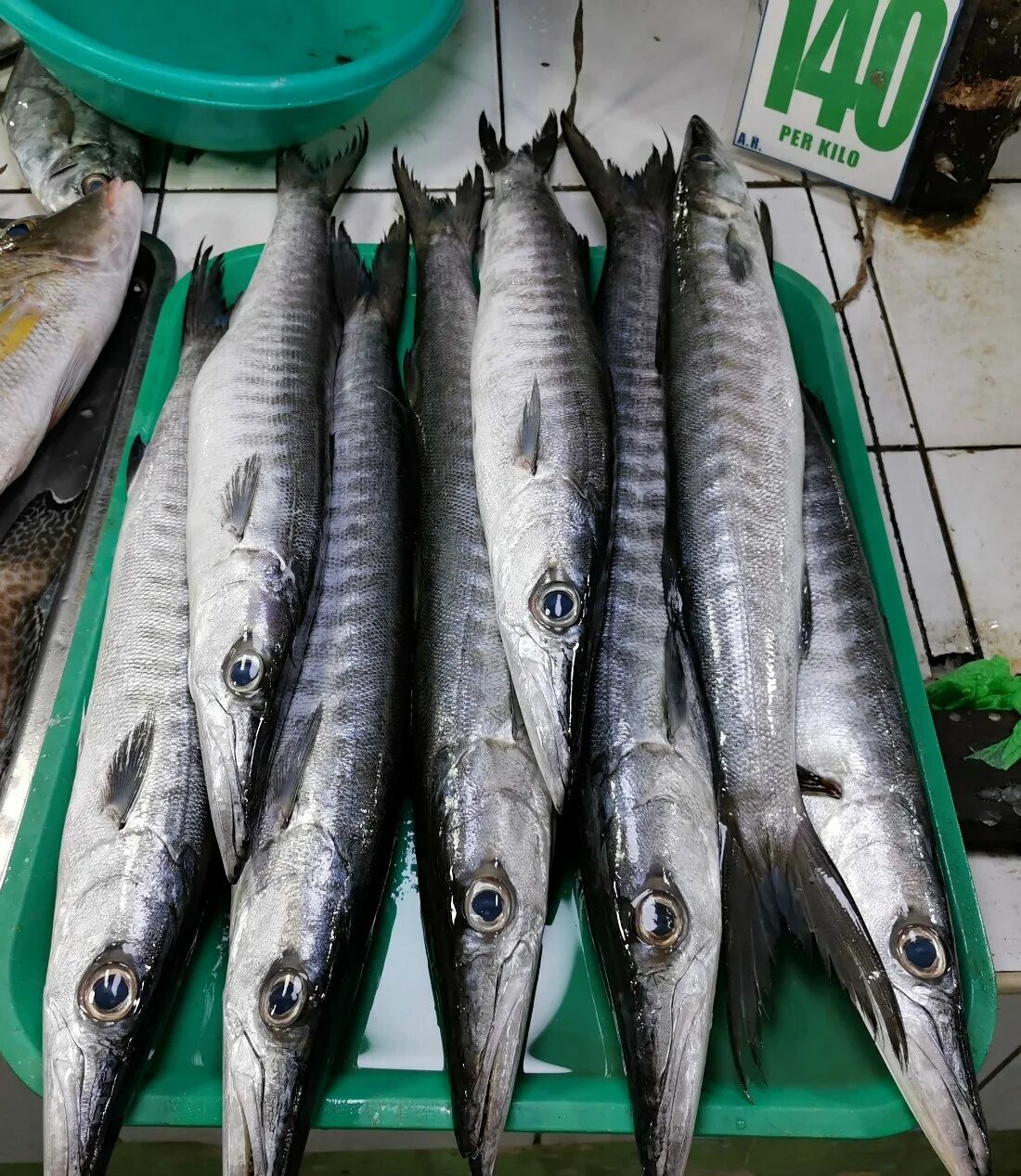 Дешевая мороженная рыба. Дешевая рыба. Рыба которую продают. Барракуда рыба. Какую недорогую рыбу.