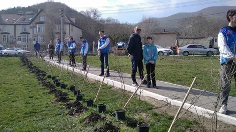 Жители в новороссийске