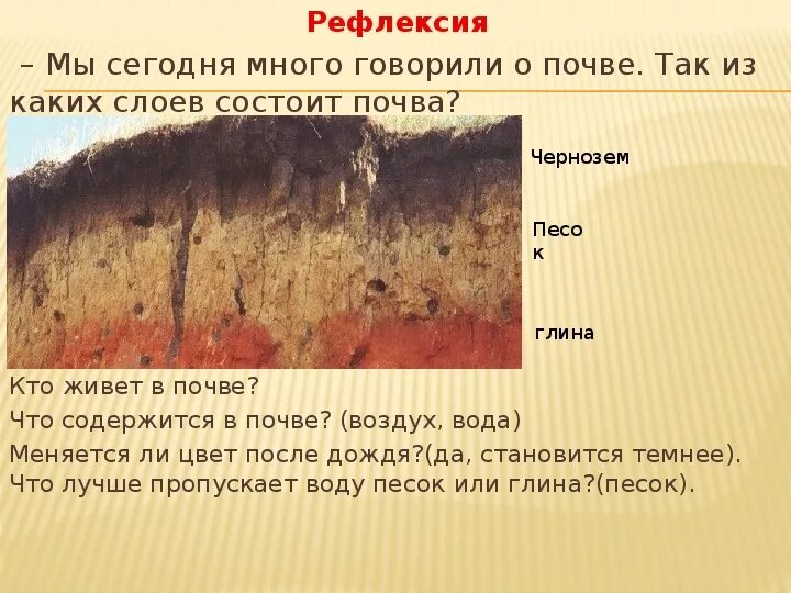 Песок и глина какая природная зона. Слой глины в почве. Слои почвы. Из чего состоит почва. Почва состоит из слои.