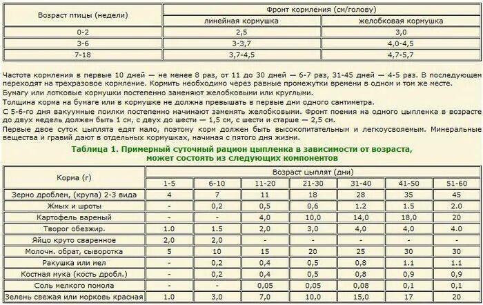 Чем кормить бройлеров после 1 месяца. Таблица кормления бройлерных цыплят. Рацион цыплят бройлеров с 10 дней. Суточный рацион цыплят бройлеров. Таблица рациона кормления цыплят бройлеров.