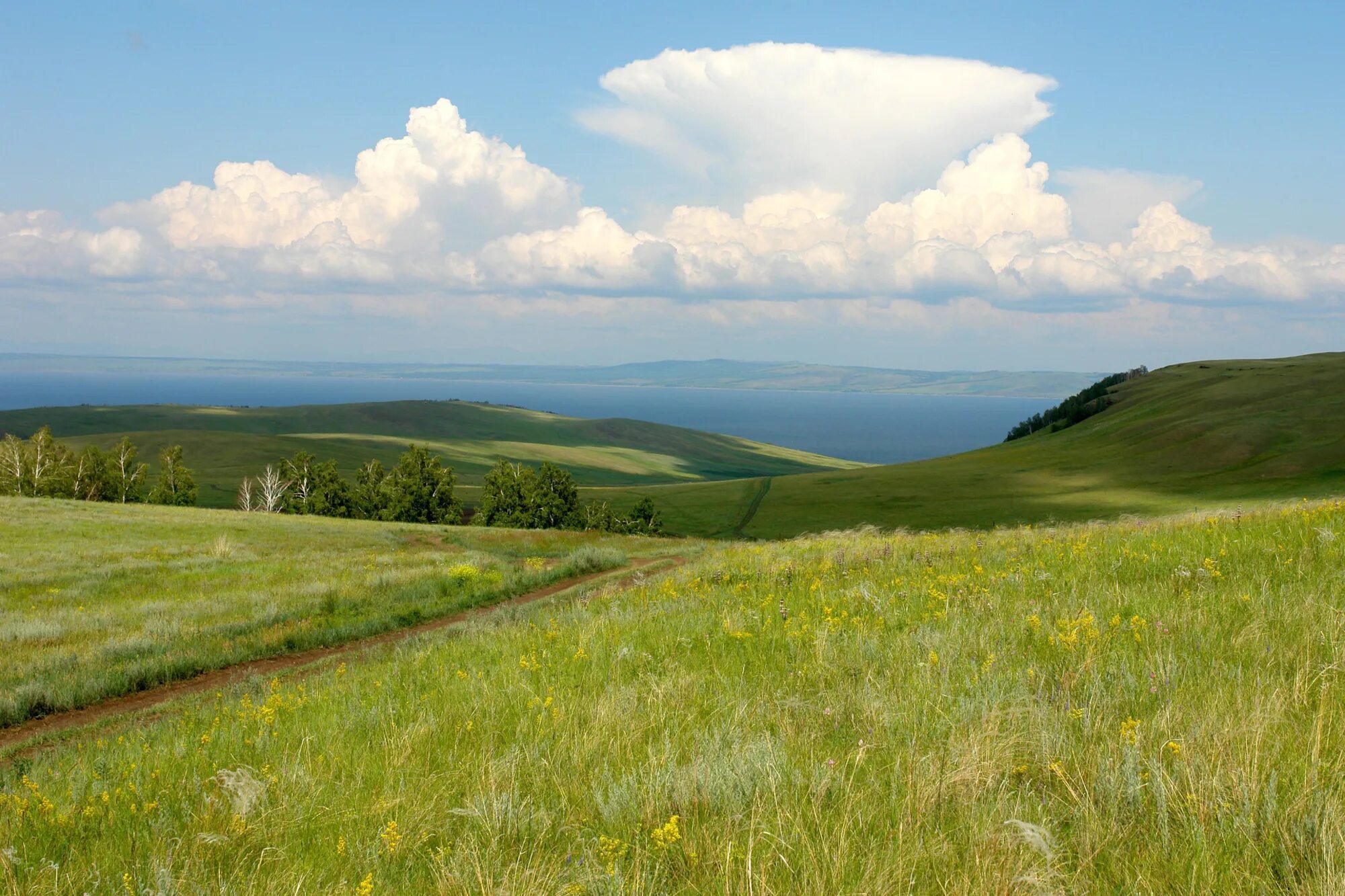 Приход лета в россии. Лето в России. Как выглядит лето в России. Summer in Russia. Россия лето 1997.