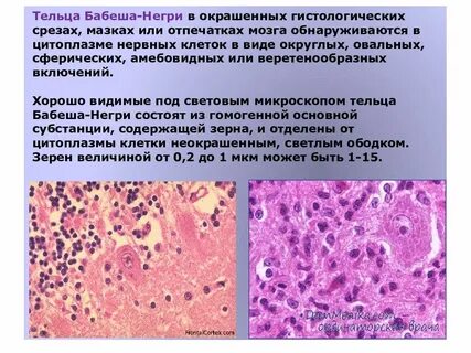 Наличие включений