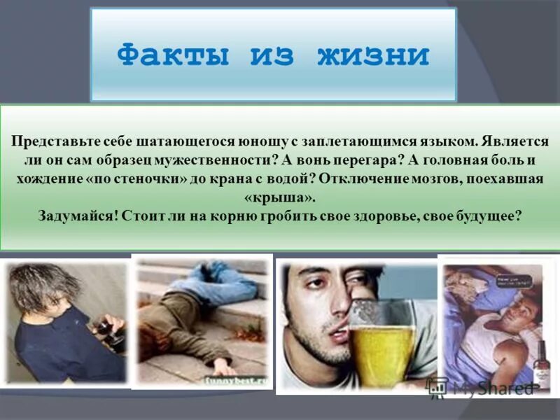 Представить жизнь. Представить жизнь