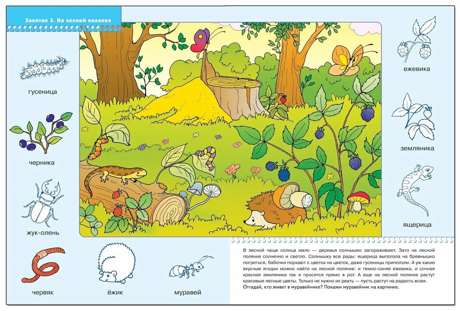 на лесной полянке предложения. стихи про лесную поляну. подснежники синтаксический разбор. на лесной полянке предложения. на лесной полянке предложения.