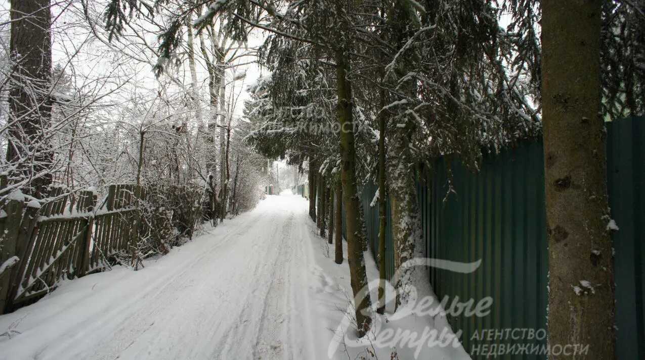 Снт динамо 3 апрелевка участок 105. Апрелевка фото дача. Снт апрелевка дачи. Дачи в апрелевке московская область. Снт дачное мк кпсс.