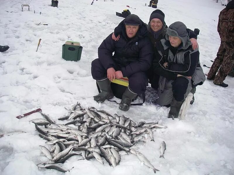 рыбалка в коротыгино