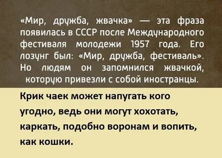 Ничего не говори мир дружба жвачка