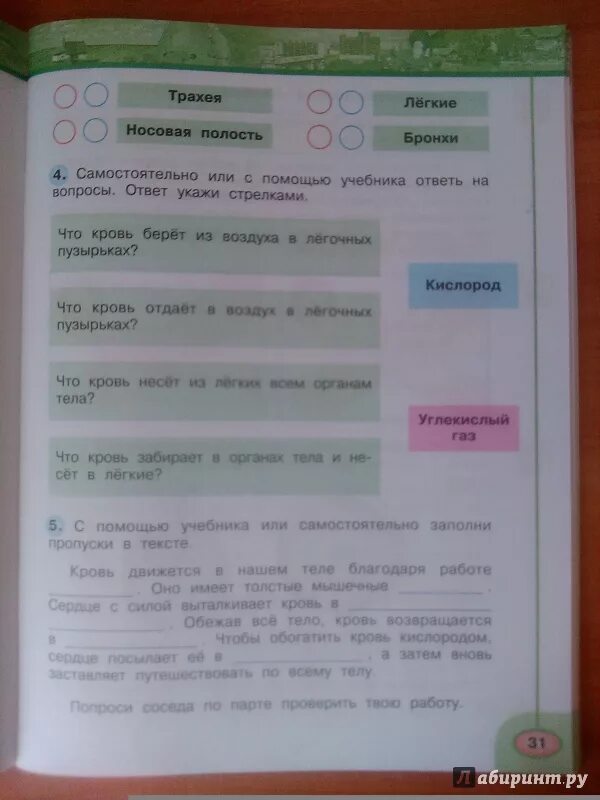 Самостоятельно или с помощью учебника ответь на вопросы. Окружающий мир бюджет семьи 3 класс Плешаков. План моих расходов окружающий мир третий класс. Бюджет для семьи окружающий мир третий класс вторая часть.