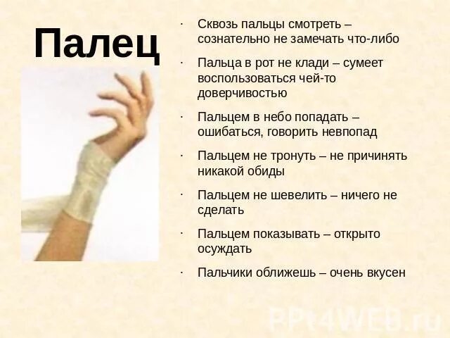 ударение в русском языке. поговорки про пальцы. пальцем в небо фразеологизм. падеж и склонение палец. оттуда как пишется.