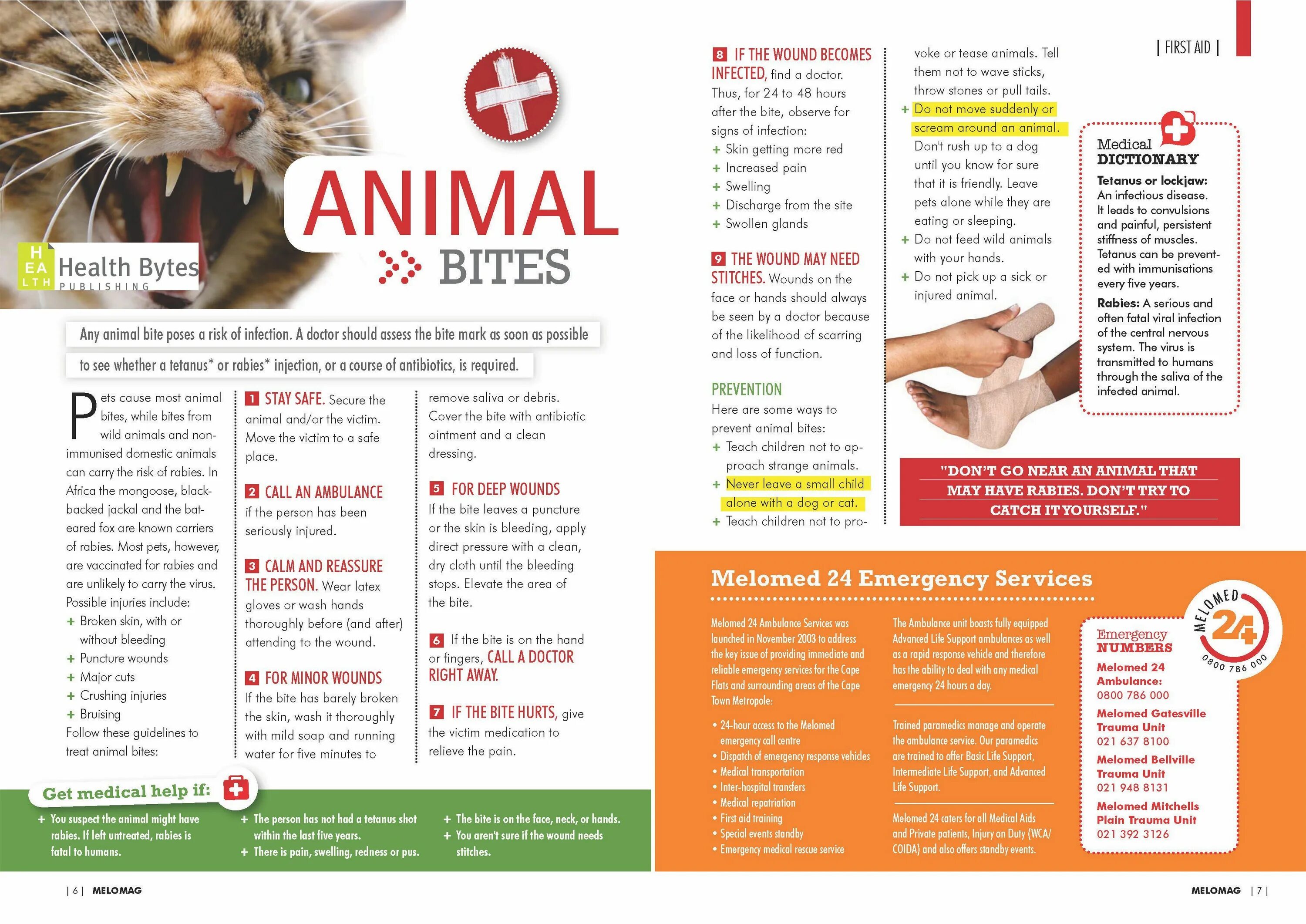 Animal bite. Animal bite