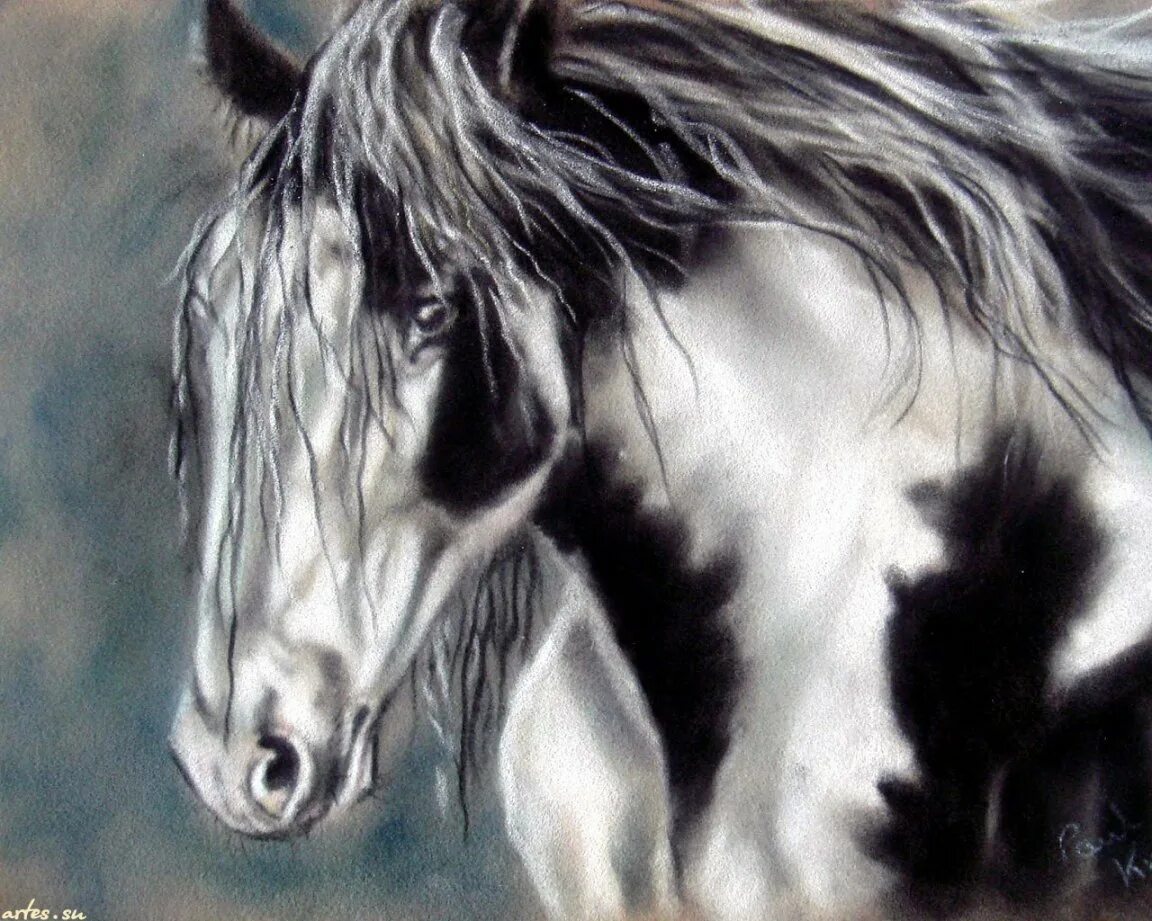 половина лошади. книги фотоальбомы лошади. кривой конь. 3 пол лошади. дикая лошадь тарпан.