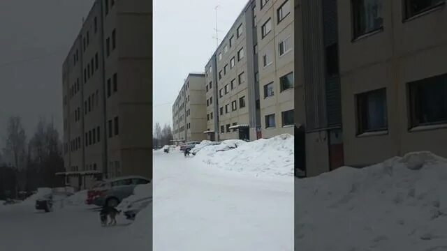 Горняк 17. Горняков 17 енакиево. Костомукша пр горняков 2 в. Горняков 17 костомукша. 2023.