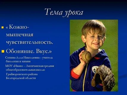Кожно мышечная чувствительность обоняние вкус