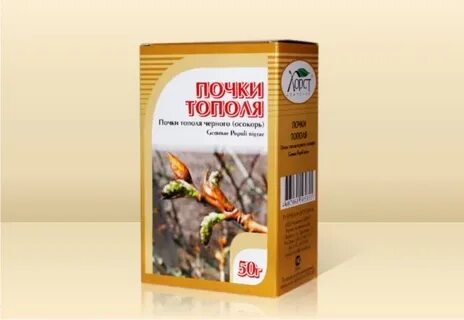 Почки масло