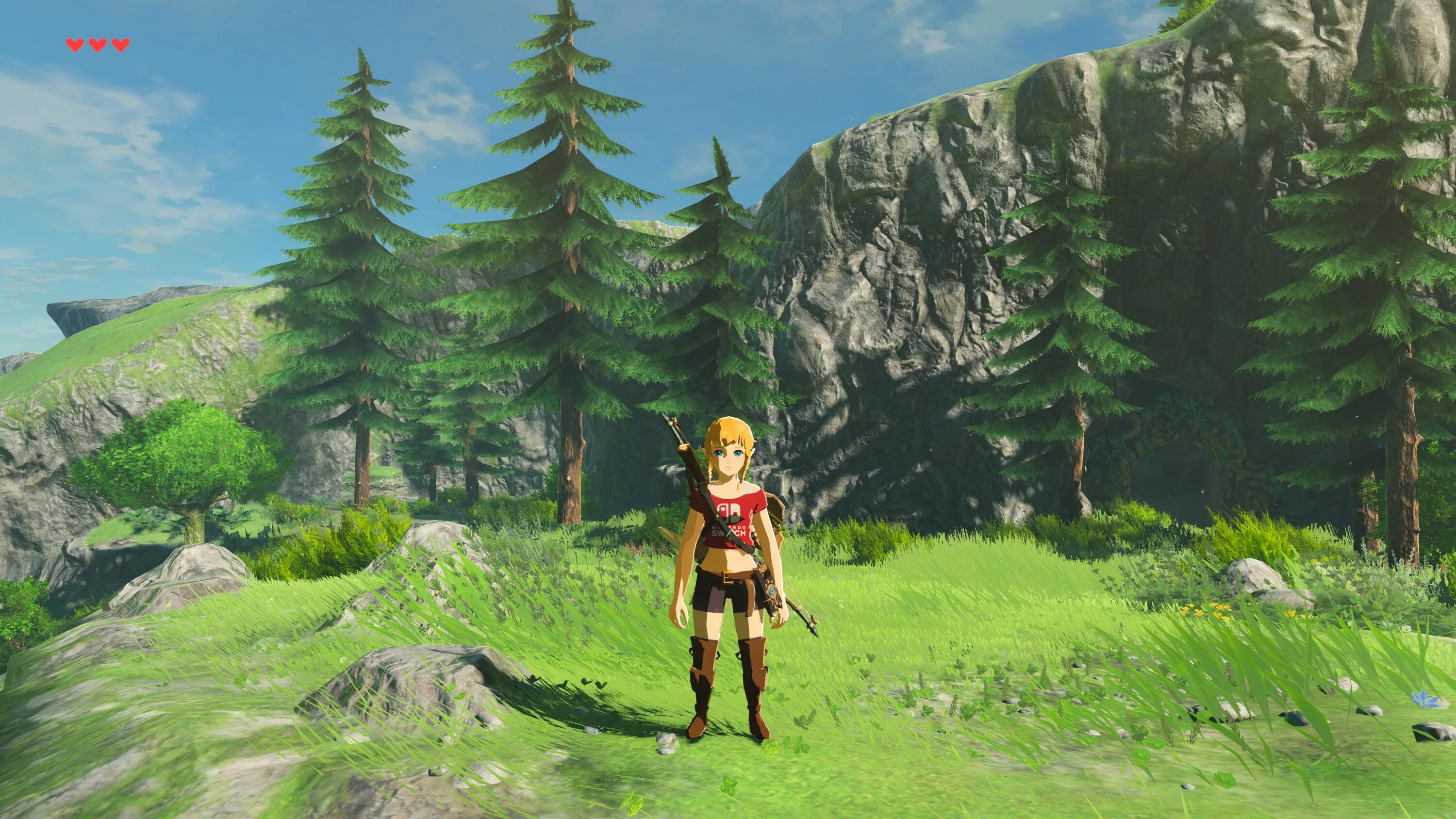 Zelda botw mods. Linkle BOTW. Zelda BOTW. Zelda Breath of the Wild Linkle. Игра Hall of the Wild.