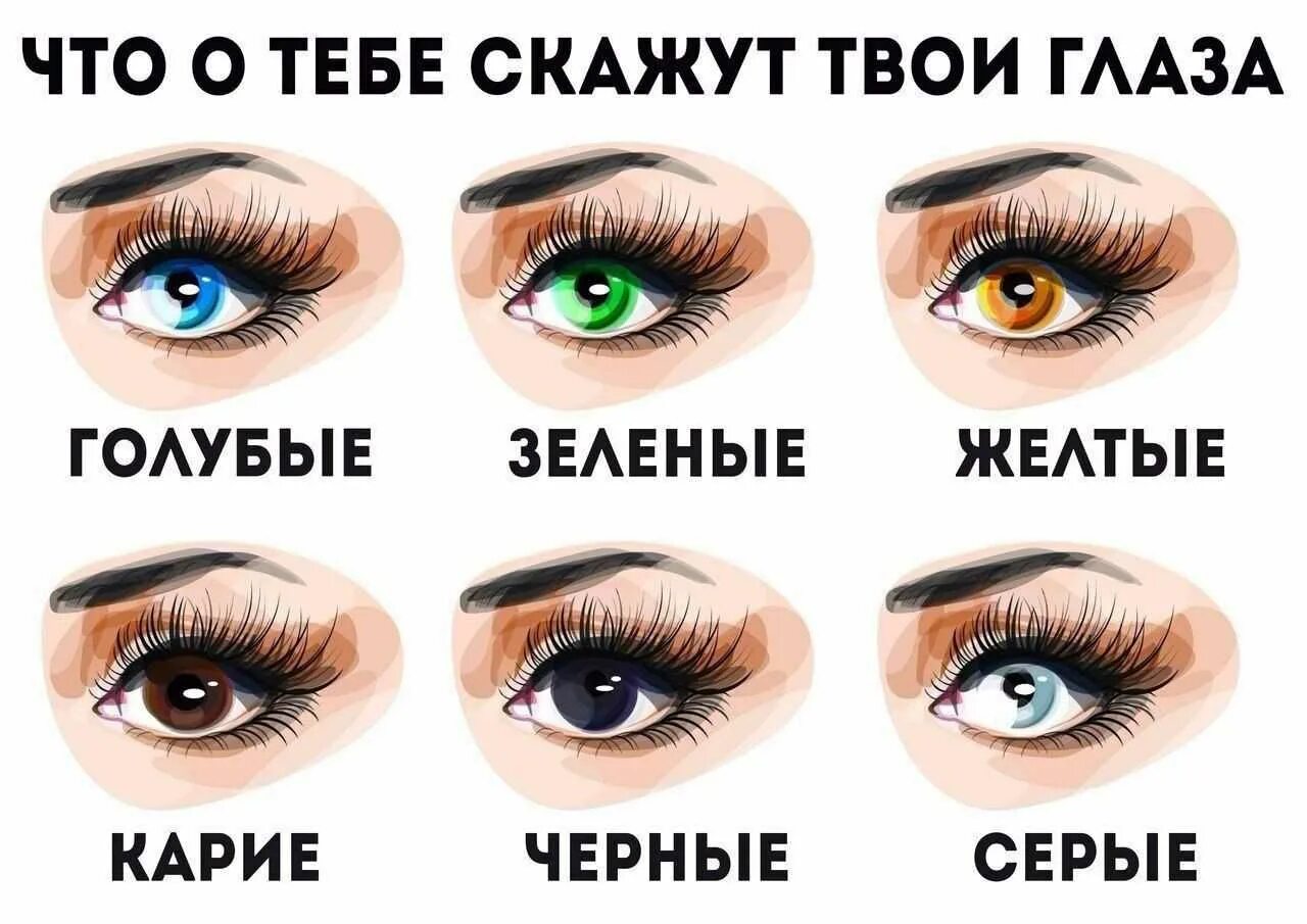 Какого цвета глазки