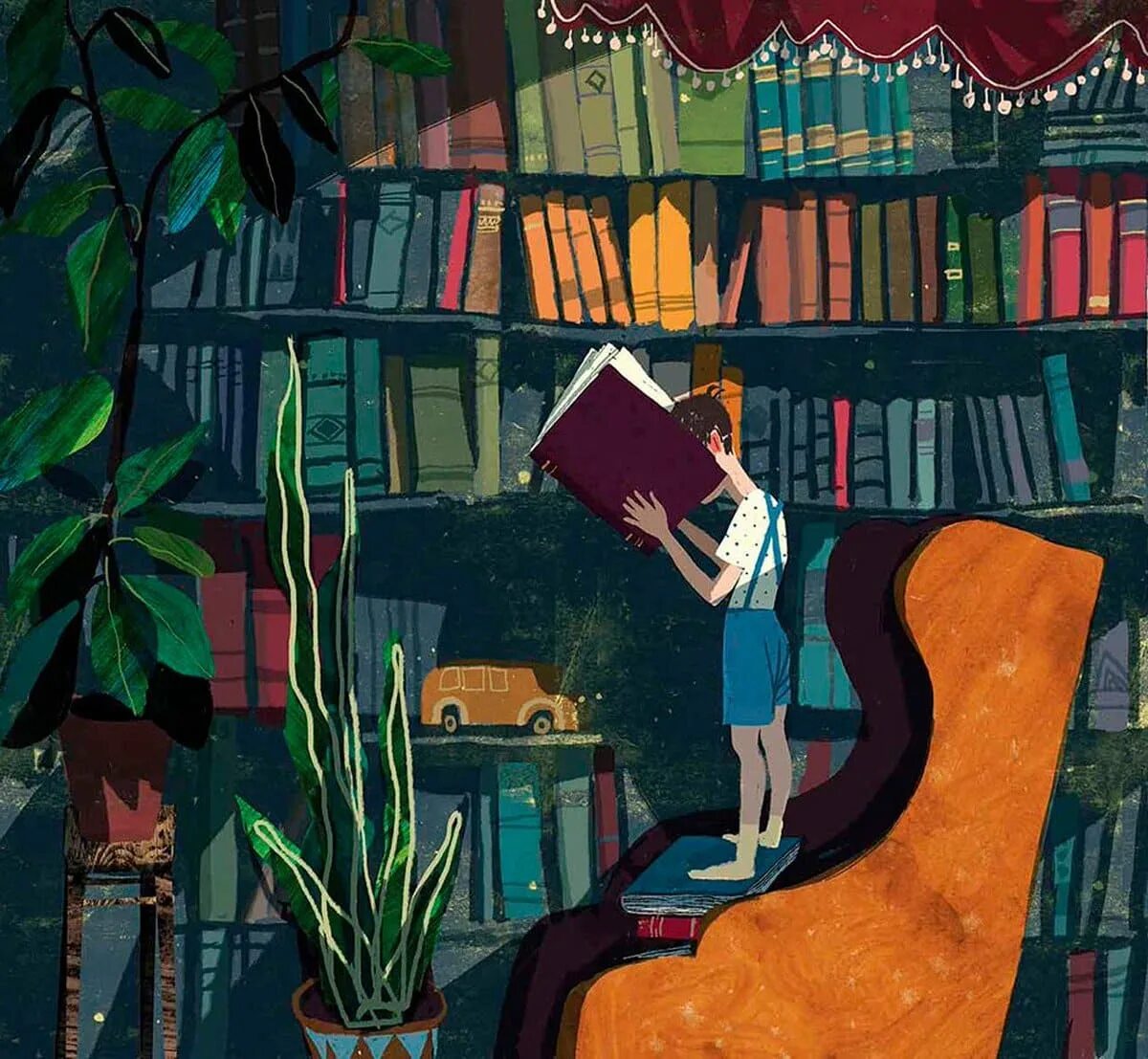 Peter reads a book