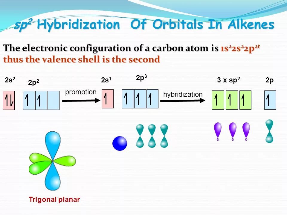 Sp2 гибридизация характерна для. Sp2 hybridization. SP hybridization orbitals. Sp2 hybridization orbitals. Hybridization n2.