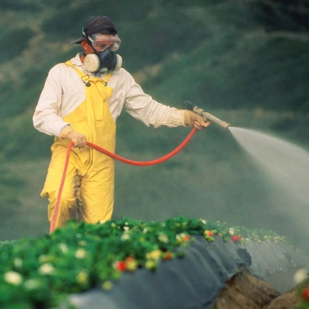 опрыскивание ядохимикатами. утилизация тары из под пестицидов. пестициды бу. Agriculture pollution. пестициды в сельском хозяйстве.