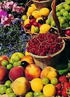 One fruit фрукты