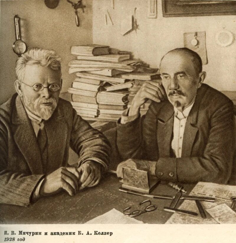 Б а келлер. Келлер академик.