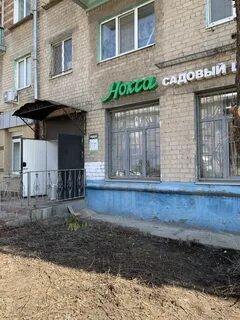 Нокса казань каталог