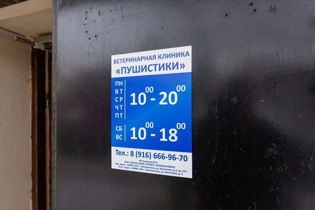 пушистики ветклиника. пушистики ветклиника. палехская 21 ветклиника. ветклиника пушистики казань декабристов. декабристов 189 пушистики ветеринарная клиника фото.