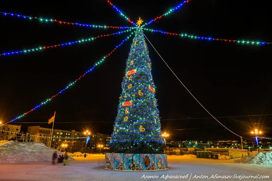 Во сколько в магадане новый год. Елка в магадане. магадан городская елка. магадан зима 2025. новогодний магадан.