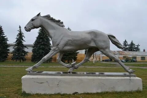 Главный конь