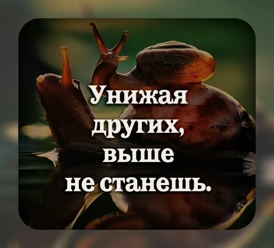 Оскорбляя другого ты не заботишься о себе. Унижая других выше не станешь. Унижая других выше не станешь цитата. Унижая других. Возвыситься унижая другого.