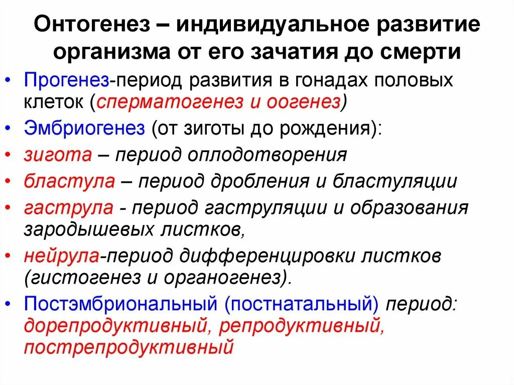 Показатели стадии развития организма. Этапы индивидуального развития организмов (онтогенез). Индивидуальное развитие организма определение периоды этапы. Индивидуальные развитие краткий конспект. Что такое индивидуальное развитие в биологии кратко.