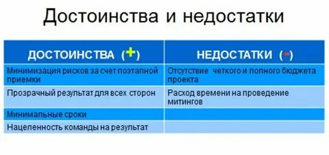 Достоинства и недостатки литров
