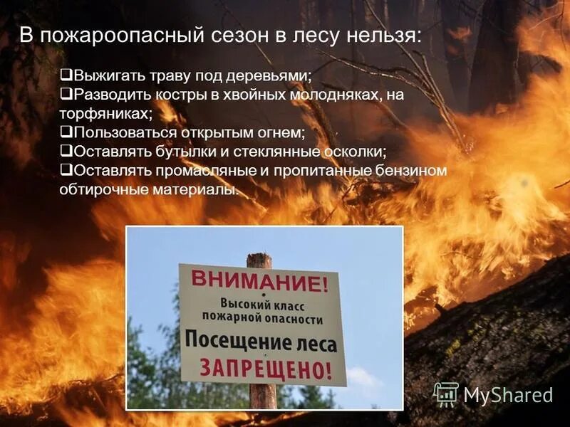 Подготовка к летнему пожароопасному периоду. Пожароопасный период. Правила поведения в лесу в пожароопасный.