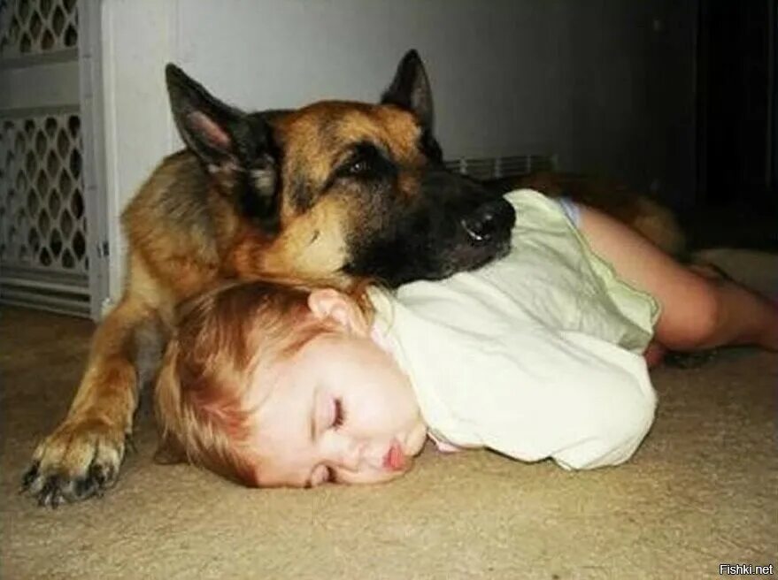 Сон собаки защищают. Немецкая овчарка и дети. Овчарка и ребенок.