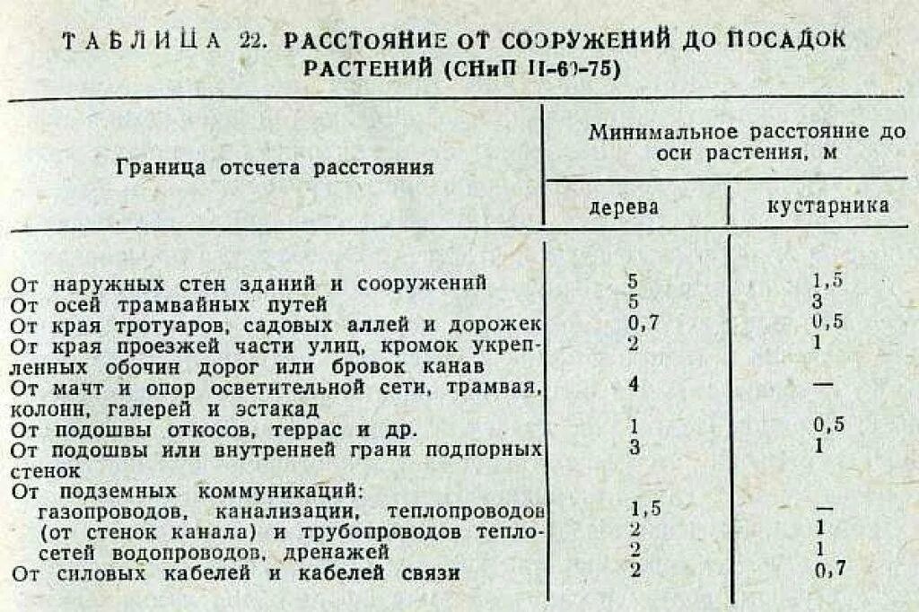 На каком расстоянии можно садить. Нормы посадки деревьев СНИП. Нормативы посадки деревьев и кустарников. СНИП посадка деревьев и кустарников. Нормы посадки деревьев и кустарников от дома.