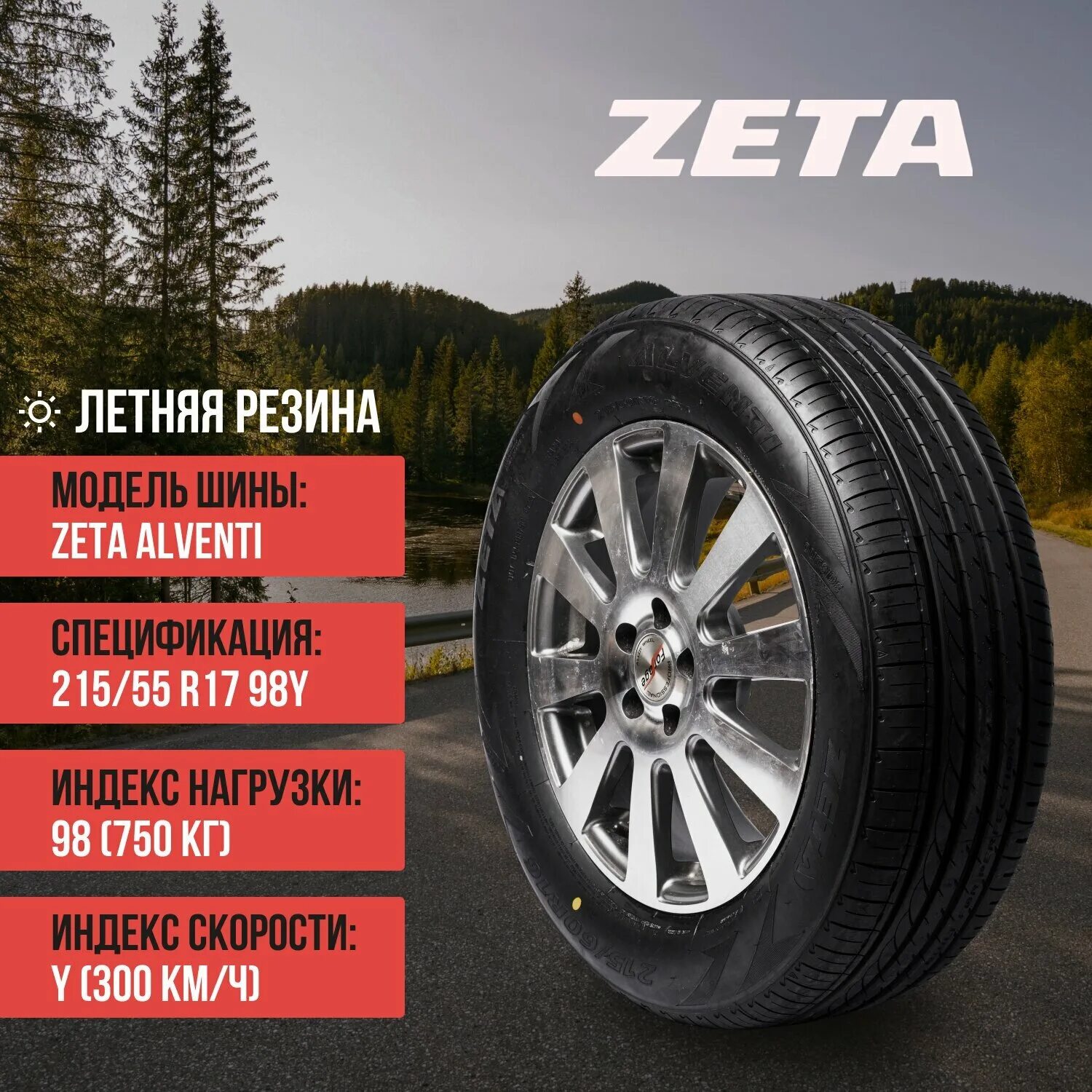 Шины zeta отзывы. Шины летние Zeta Alventi. Zeta шины летние Alventi 205/55 r16 91w. Zeta Alventi 255/40zr18 99w XL. Zeta Alventi 225/50 r17 98y.