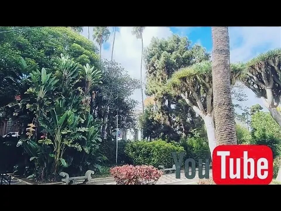 Нико гран канария сансевиерии фото. Нико гран канария ютуб. Нико гран канария ютуб. Нико гран канария ютуб. Ислета на гран канария.