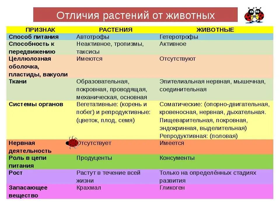 Основные различия животных от растений. Отличие растений от животных таблица 7 класс. Отличие животных от растений таблица. Чем животные отличаются от растений. Какие 2 типа различают в живой природе