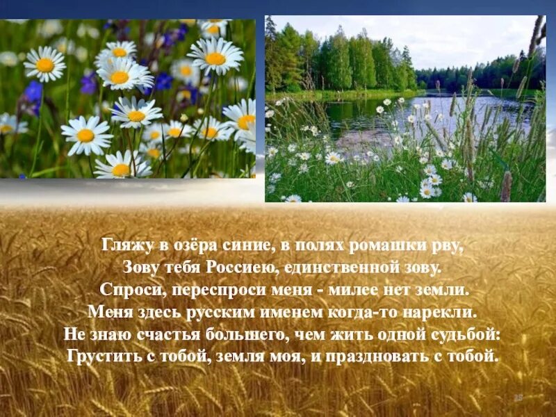 Слова гляжу в озера синие текст. В полях ромашки рву зову тебя Россиею. Гляжу в озера синие в полях ромашки. Гляжу в озёра синие, в полях ромашки рву, зову тебя Россиею,. Стих гляжу в озера синие.