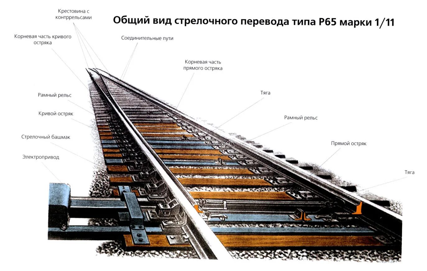 Рамный рельс 2750. Стрелка рамный рельс остряк. Верхнее строение пути рельс р65 накладки. Рамный рельс с остряком р65 1/9.