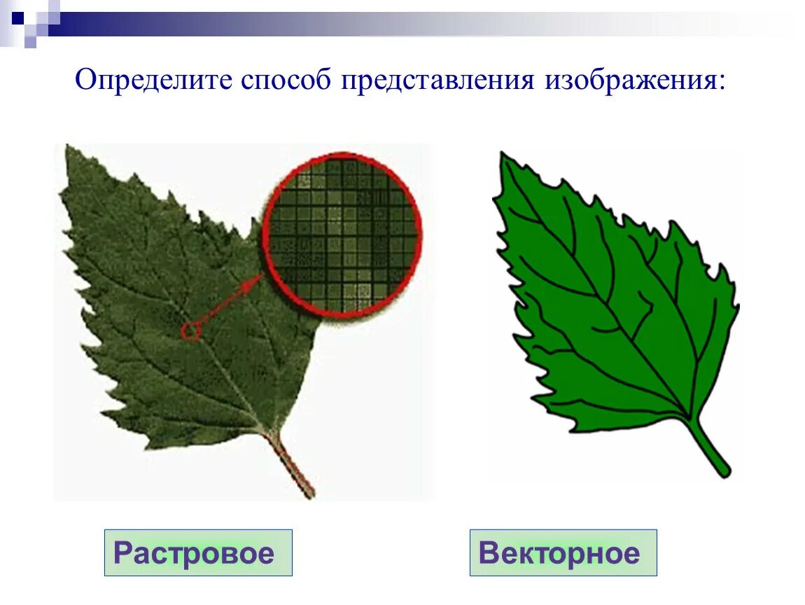 Растровая и Векторная Графика примеры. Растровое и векторное изображение. Векторно и растровое еизображе. Векторное и растровое изибражени.