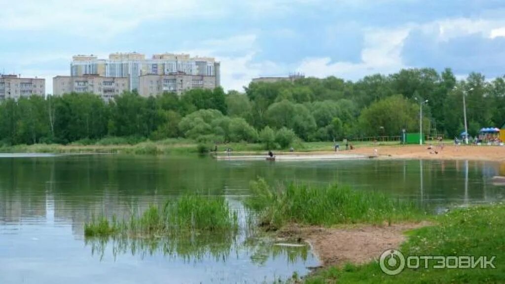 Озеро Сенеж Тимоново. Пляж в Тимоново Сенеж. Озеро Сенеж Солнечногорск. Красногорск озеро Сенеж.