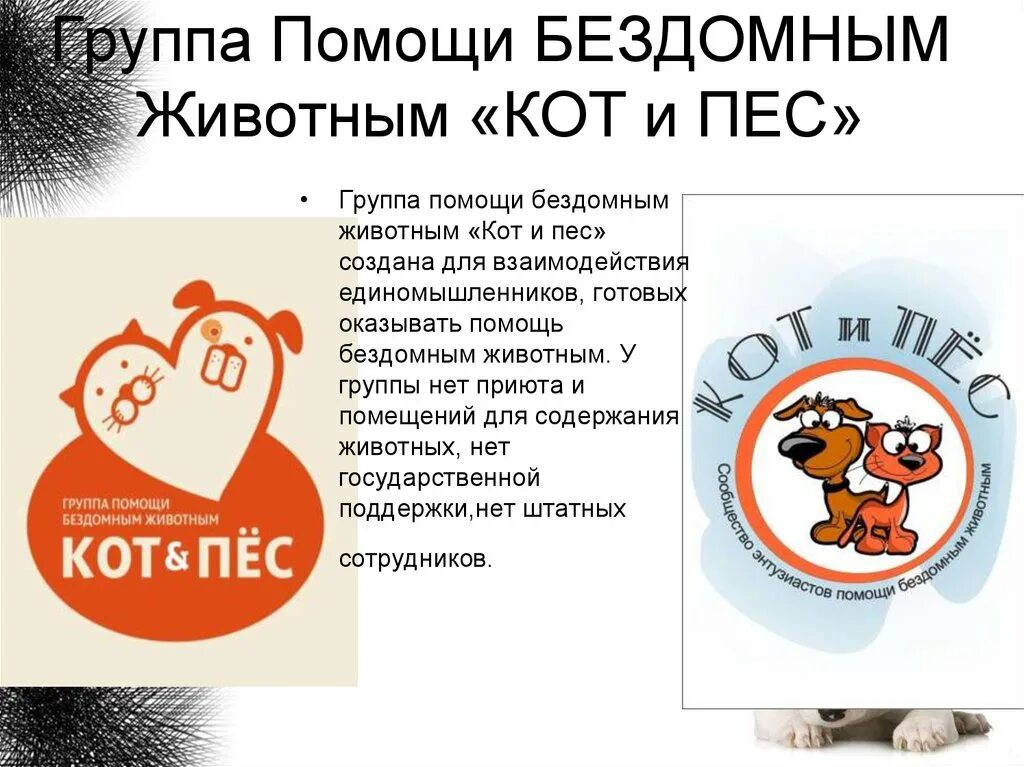 Готов оказать поддержку. Группы помощи бездомным животным. Группа помощи бездомным. Поможем бездомным животным. Эмблема группы помощи бездомным животным.