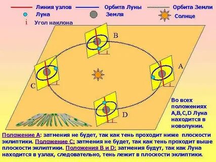 5 узлов линия