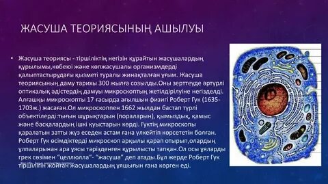 Хабаровскийдің секс-құлдары