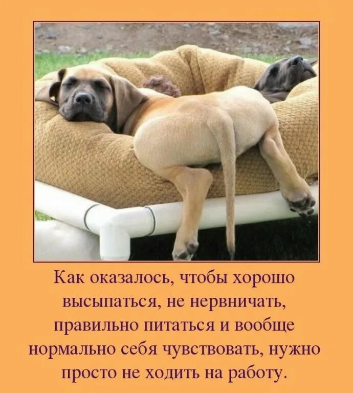 Никто не разбогатеет работая с 8 утра. Весёлые картинки для поднятия настроения. Открытки прикольные для поднятия настроения. Позитивные картинки для поднятия настроения. С пятницей прикольные.