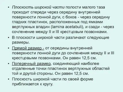 Прямые размеры плоскостей малого таза