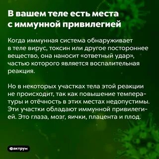 Иммунная привилегия