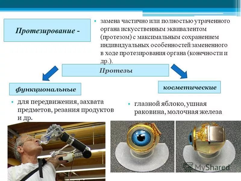03. Направления профессиональной деятельности. 02 социальная работа кем работать. Социальная работа с осужденными схема. Направление подготовки социальная работа.